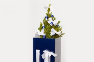 WEIHNACHTEN-DIREKTWERBUNG – ECHTE WEIHNACHTSBÄUME