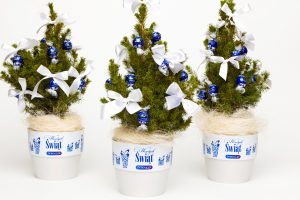 WEIHNACHTEN-DIREKTWERBUNG – ECHTE WEIHNACHTSBÄUME