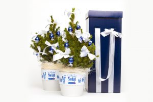 WEIHNACHTEN-DIREKTWERBUNG – ECHTE WEIHNACHTSBÄUME
